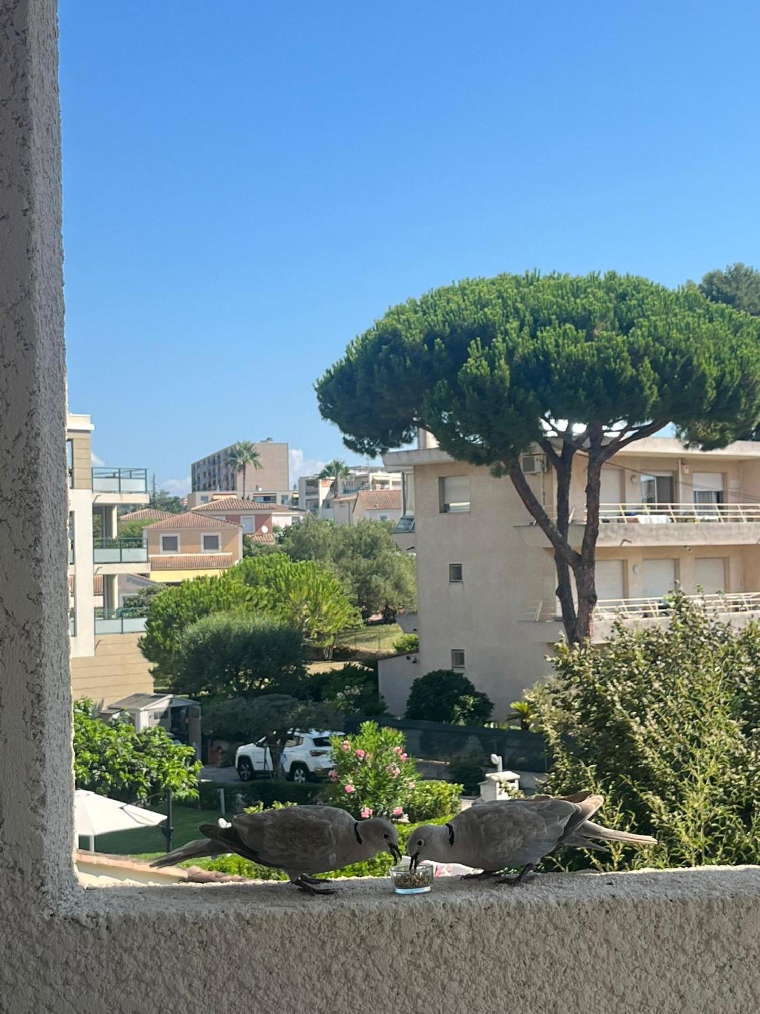 Appartement Chez Soi Au Soleil